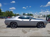Dodge Challenger Rallye Redline 2C3CDYAG6DH680794 снимка