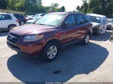 Hyundai Santa Fe Gls 5NMSG13D49H273822 снимка