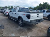 Ford F-150 Fx4/King Ranch/Lariat/Platinum/Xl/Xlt 1FTPW14V19FA67595 fotografie