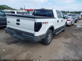Ford F-150 Fx4/King Ranch/Lariat/Platinum/Xl/Xlt 1FTPW14V19FA67595 fotografie