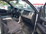 Ford F-150 Fx4/King Ranch/Lariat/Platinum/Xl/Xlt 1FTPW14V19FA67595 fotografie