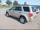 Ford Escape Xlt 1FMCU9D7XBKB92611 снимка