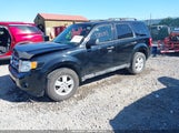 Ford Escape Xlt 1FMCU9DG8CKA36973 fotografie