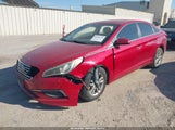 Hyundai Sonata 5NPE24AF5HH516315 снимка
