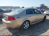 Acura Tl 19UUA66295A067290 снимка