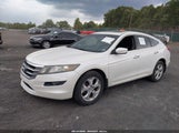 Honda Accord Crosstour Ex-L 5J6TF2H56AL003650 fotografie