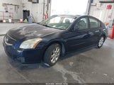 Nissan Maxima 3.5 Sl 1N4BA41E57C860045 снимка