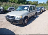 Ford Escape Xlt 1FMYU03155KA42232 снимка