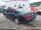 Ford Mustang V6/V6 Premium 1ZVHT80N395107299 photo