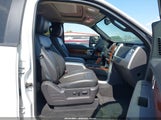 Ford F-150 Fx4/Harley-Davidson/King Ranch/Lariat/Platinum/Xl/Xlt 1FTFW1EV5AFA83524 fotografie