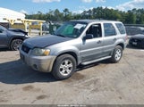 Ford Escape Xlt/Xlt Sport 1FMYU03137KB52490 fotografie
