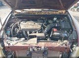 Honda Accord 2.4 Lx 1HGCP26388A053803 photo