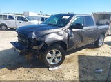 Ram  Big Horn 3C6RR7LT8HG506329 снимка