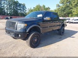 Ford F-150 Fx4/King Ranch/Lariat/Limited/Platinum/Xl/Xlt 1FTFW1ET8DKD20520 fotografie