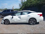 Nissan Maxima 3.5 S 1N4AA6AP4GC902598 снимка