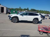 Subaru Outback Limited 4S4BTANC2P3209432 снимка