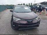Toyota Rav4 Xle 2T3RFREV2GW537103 снимка
