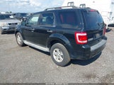 Ford Escape Xlt 1FMCU0D72AKB42814 снимка