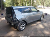 Miniaturka zdjęcia 4