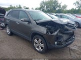 Kia Sorento Ex 5XYKU3A63DG420398 снимка