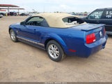 Ford Mustang V6/V6 Premium 1ZVHT84N195102225 photo