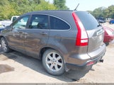 Honda Cr-V Ex-L 5J6RE48749L054859 fotografie
