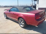 Ford Mustang V6 Deluxe/V6 Premium 1ZVFT84N775308895 fotografie