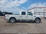 Ford F-250 Fx4/Harley-Davidson/King Ranch/Lariat/Xl/Xlt 1FTSW21R18EC44884 photo