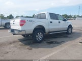 Ford F-150 Xlt 1FTFW1EF3BFB31127 снимка