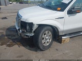 Ford F-150 Xlt 1FTFW1EF3BFB31127 снимка
