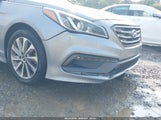 Hyundai Sonata Sport 5NPE34AF5GH263752 photo