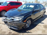 Honda Civic Lx 2HGFC2F57HH505977 снимка