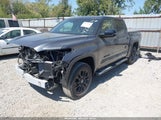 Toyota Tundra Limited 4Wd 5TFWA5DB6SX313595 fotografie