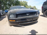 Ford Mustang V6 1ZVFT84N865148718 снимка