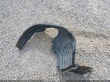 Subaru Forester Premium JF2SKADCXNH475470 снимка