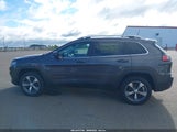 Jeep Cherokee Limited 4X4 1C4PJMDN4KD179048 fotografie