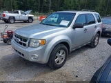 Ford Escape Xlt 1FMCU0DG5BKB10196 снимка