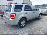Ford Escape Xlt 1FMCU0DG5BKB10196 снимка