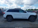 Jeep Grand Cherokee Trailhawk 4X4 1C4RJFLG7LC272421 fotografie