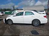 Toyota Corolla L 2T1BU4EE1DC096564 снимка