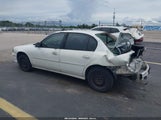 Chevrolet Malibu 1G1ND52J1Y6179454 снимка