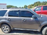 Ford Escape Xlt 1FMCU93799KA86713 снимка