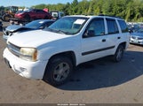 Chevrolet Trailblazer Ls 1GNDT13S252301027 снимка