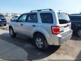 Ford Escape Xlt 1FMCU0D7XAKC17338 снимка