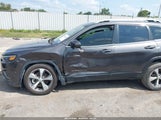 Jeep Cherokee Limited Fwd 1C4PJLDX8MD144592 fotografie