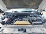 Ford F-150 Xlt 1FTEX1EB7KKD00756 снимка