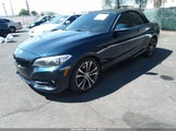BMW 228I xDrive WBA1L9C58GV324315 снимка