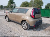 Miniaturka zdjęcia 3