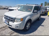 Ford Escape Xlt 1FMCU03G29KA63849 снимка