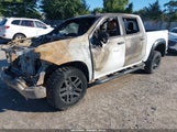 Chevrolet Silverado 3GCPDBEK8RG256484 снимка